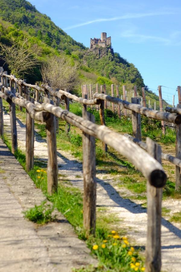 Ferienwohnungen St. Michael Appiano Sulla Strada Del Vino Zewnętrze zdjęcie